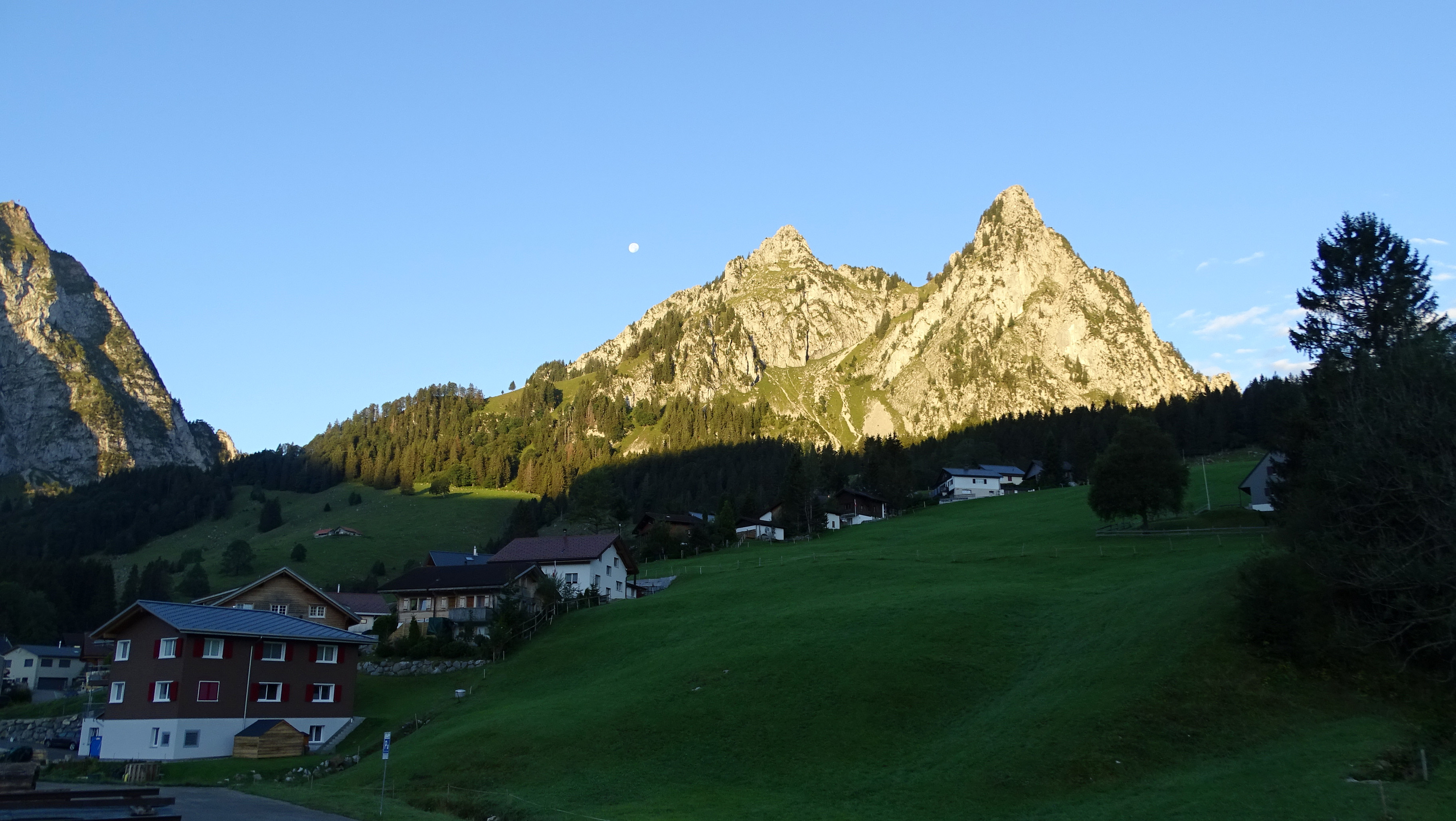 1. Die Mythen rund um die Legende der fliegenden Bäume