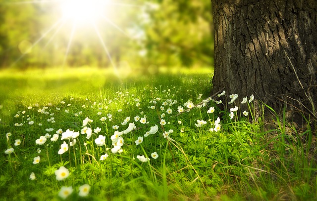 Sommerliche Autopflege: Tipps für den perfekten Glanz