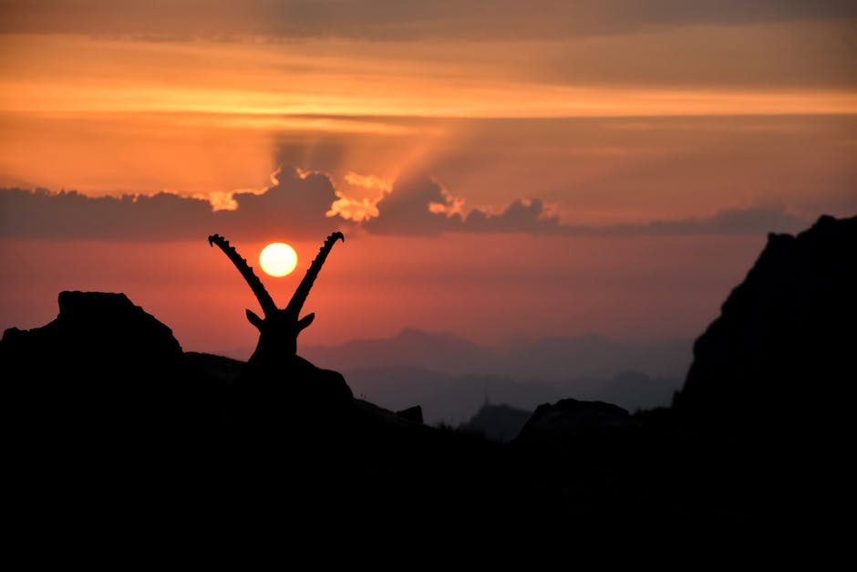 Von Sonnenaufgang bis Sonnenuntergang: Ein Tag im Freien