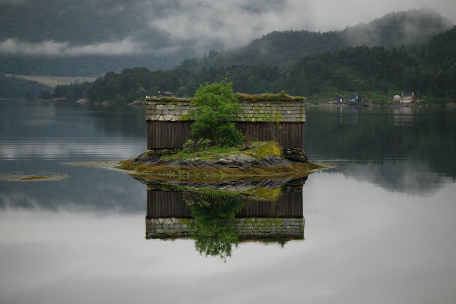 I. Was ist Spiegelbild-Regenfotografie?