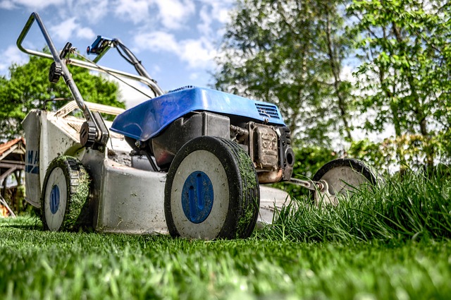 Gartenarbeit im Sommer: Pflegetipps für einen blühenden Garten